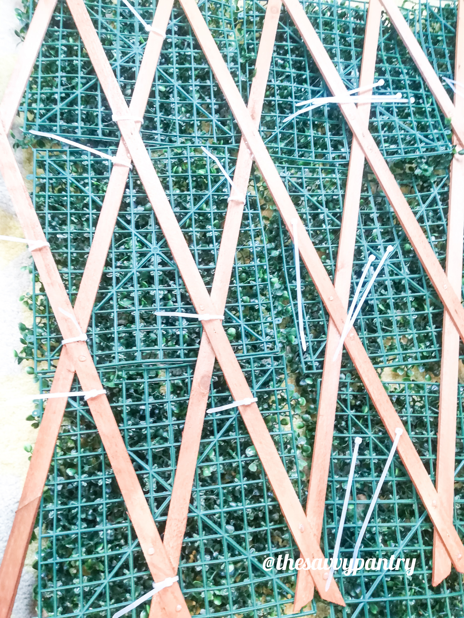 InShot_20190607_171808374