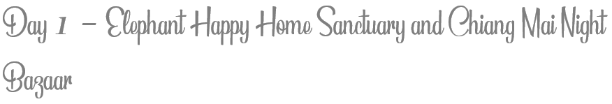 TheSavvyPantry-ChiangMai2DayItinerary-Day1ElephantHappyHomeNightBazaar